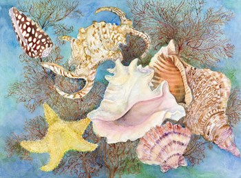Gifts from the Sea by Joanne Porter art print
