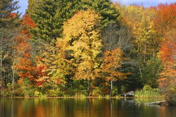 Fall 20 by CW Hetzer art print