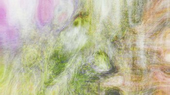 Splinters by Henry Hu art print