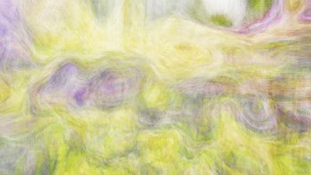 Otroya by Henry Hu art print