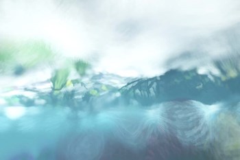 Pony in the Lake by Henry Hu art print