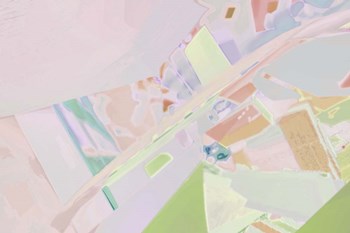 Acacia 1 by Henry Hu art print