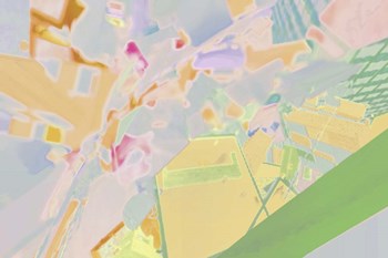 Acacia 2 by Henry Hu art print