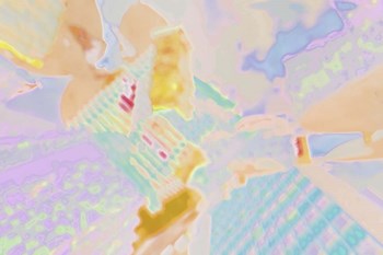 Acacia 3 by Henry Hu art print