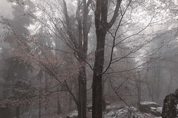 Always Together In Joy And Sorrow by Jenny Rainbow Fine Art art print