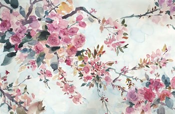 Cherry Blossoms Morning by Marietta Cohen art print